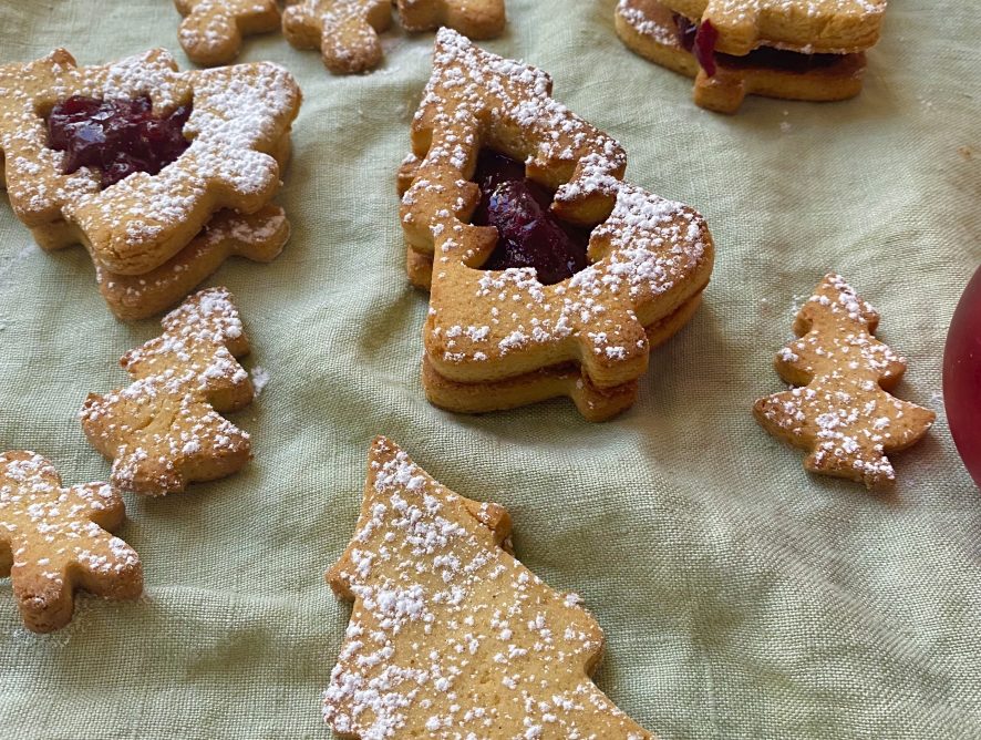 Biscotti pan di zenzero senza glutine